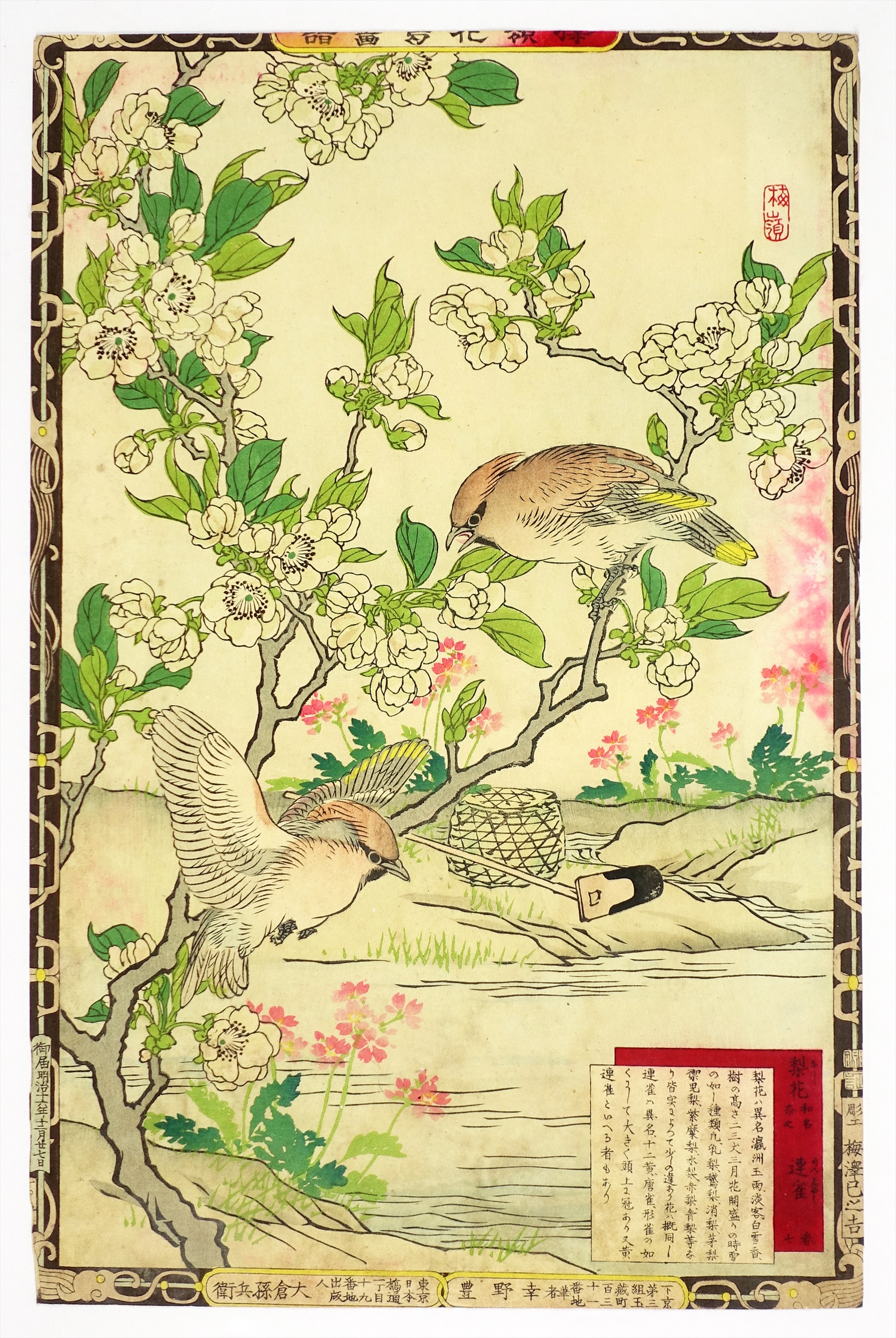 ㉑花鳥画・短冊絵・柱絵等 | 山星書店 浮世絵 Yamaboshi-Shoten Ukiyo-e